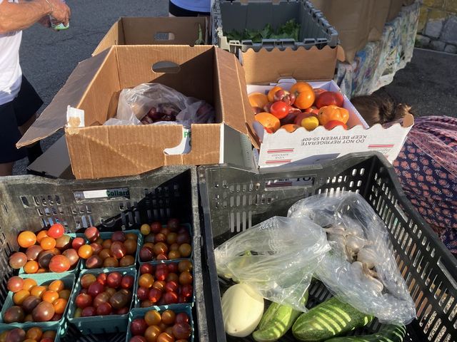 Tomatoes and cucumbers are among the produce on offer at the farm stand outside Sing SIng Sunday.